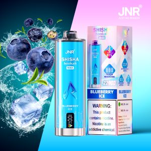 JNR SHISHA MAX 22000 Puffs