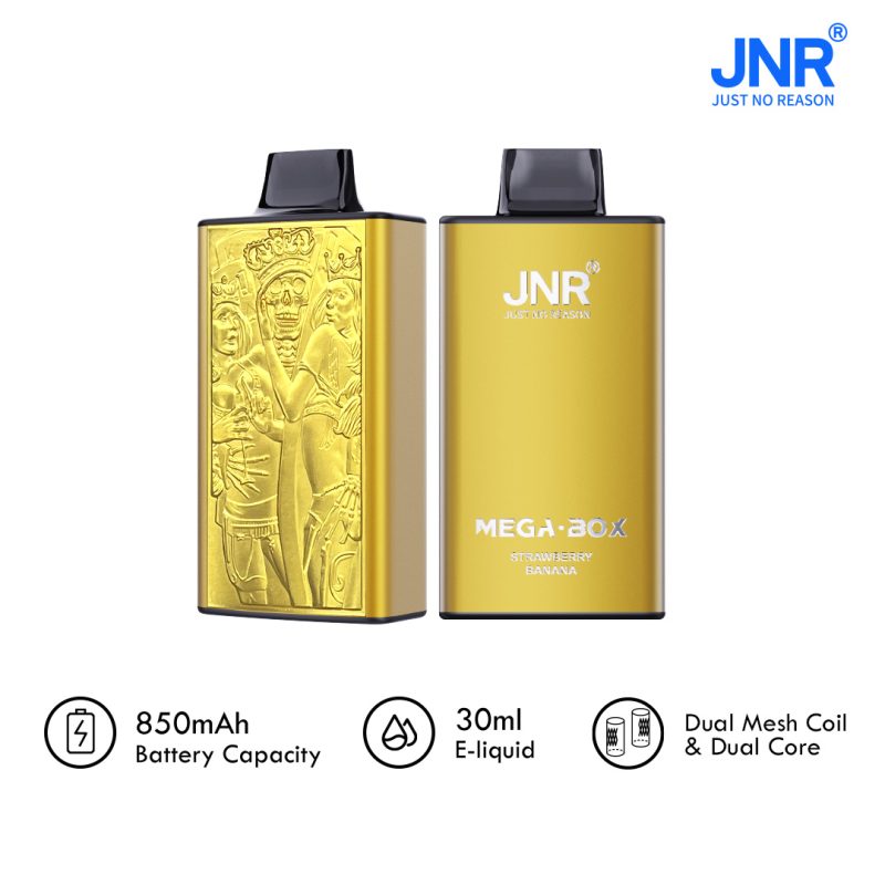 JNR Mega Box 25000 puffs
