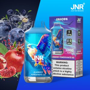 JNR Falcon 16000 Vape